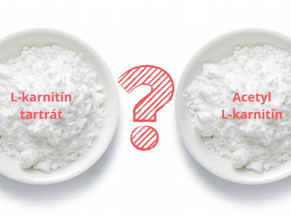 Porovnanie L-karnitnu tartrtu s acetyl L-karnitnom